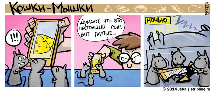 Кошки-Мышки (выпуск 36). #3