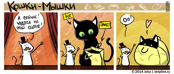 Кошки-Мышки (выпуск 37). #1