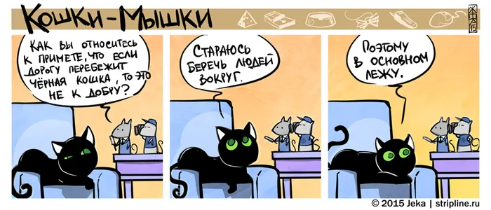 Кошки-Мышки (выпуск 38). #3