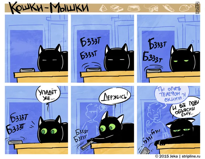 Кошки-Мышки (выпуск 39). #2
