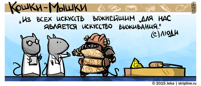 Кошки-Мышки (выпуск 40). #4