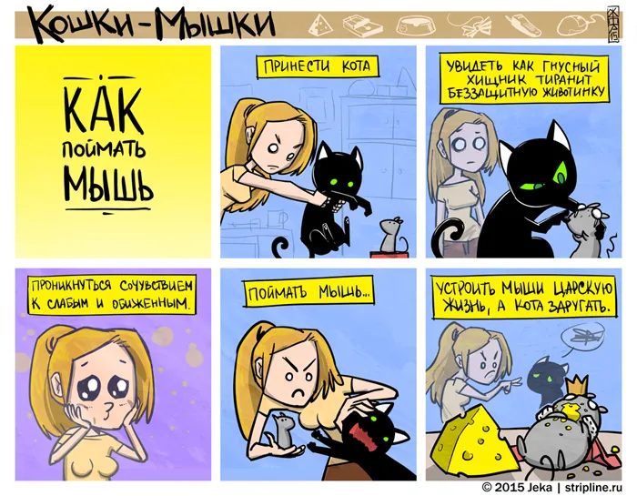 Кошки-Мышки (выпуск 41). #2