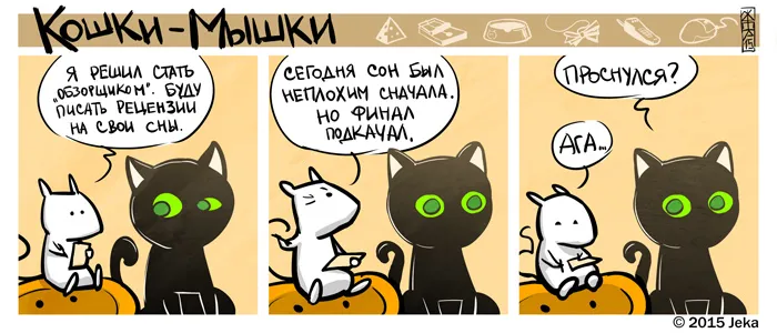 Кошки-Мышки (выпуск 43). #1