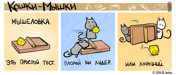 Кошки-Мышки (выпуск 43). #2