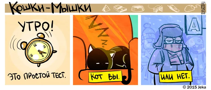 Кошки-Мышки (выпуск 43). #5