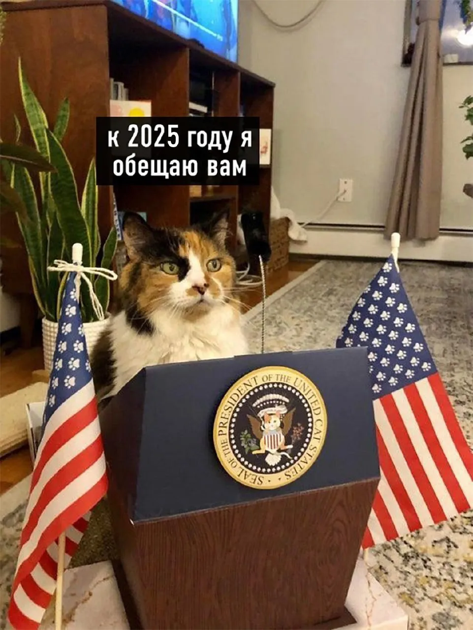 Да будет так! #1