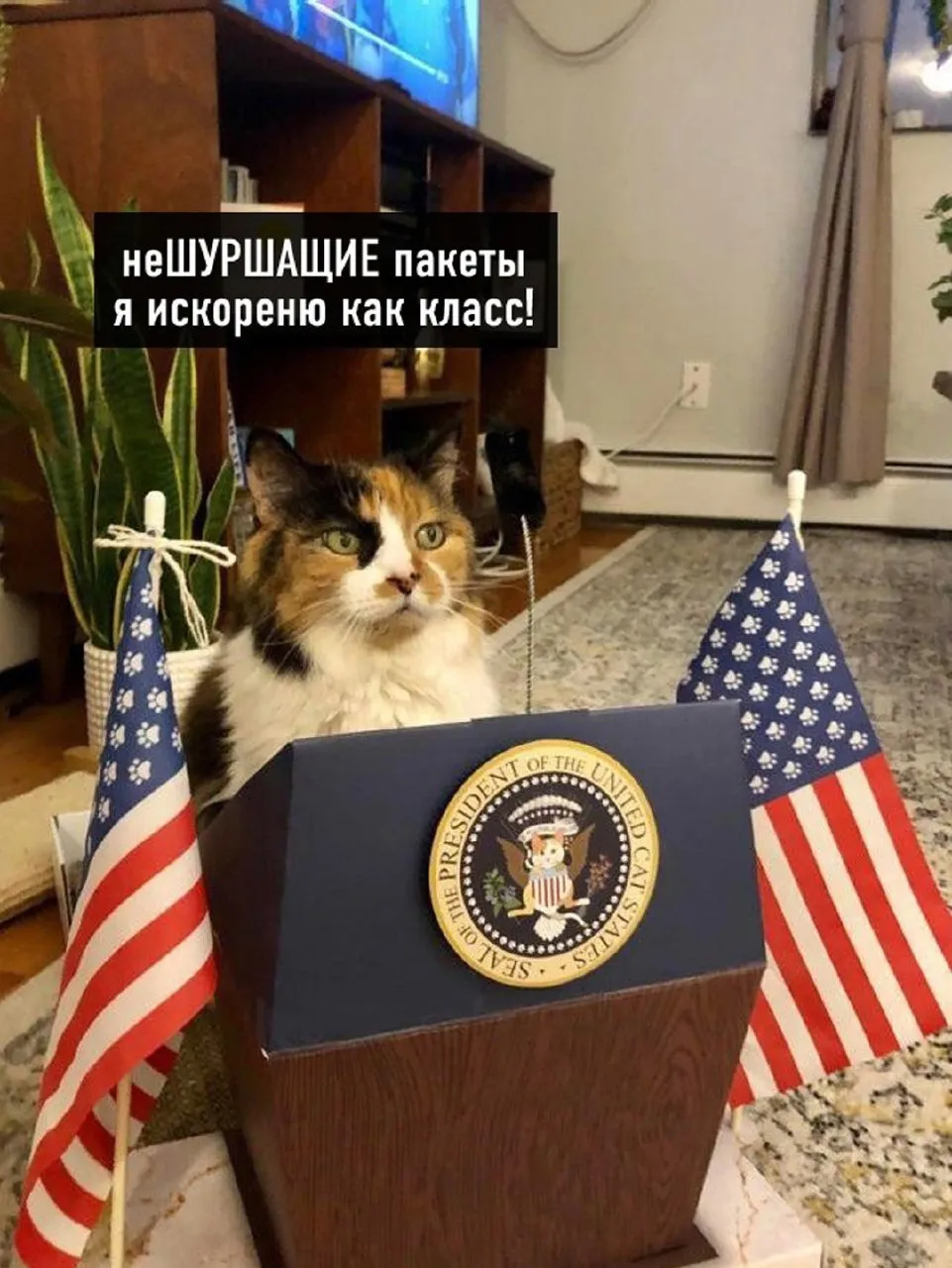 Да будет так! #5