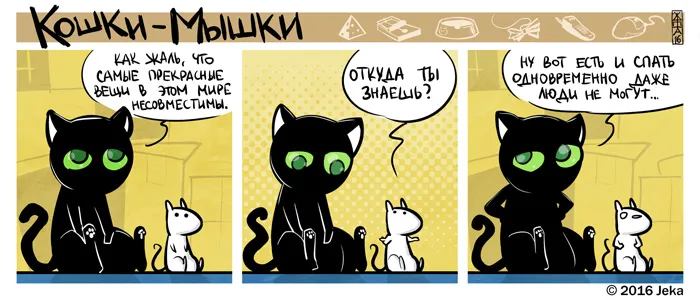 Кошки-Мышки (выпуск 45). #2