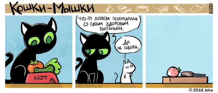 Кошки-Мышки (выпуск 45). #4