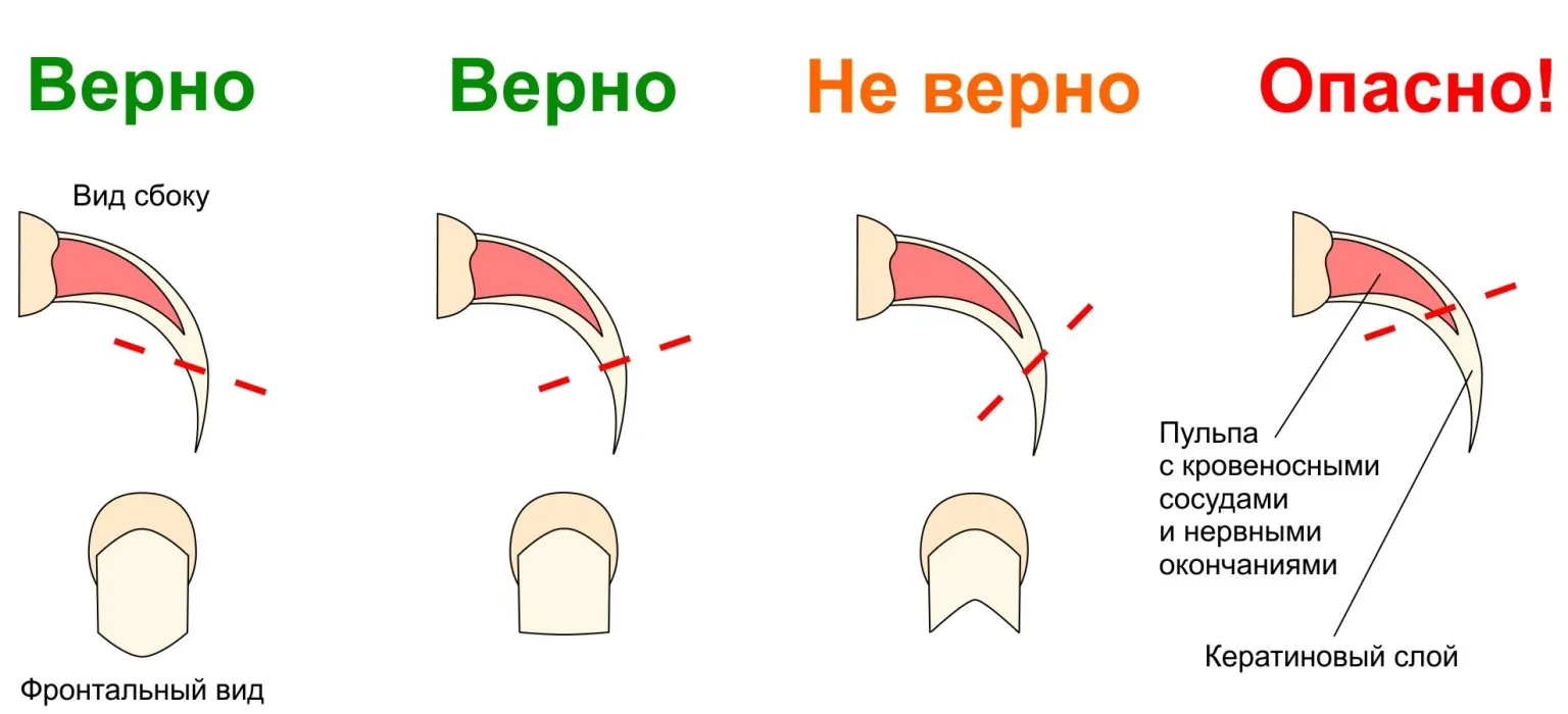 Цветочек. #2