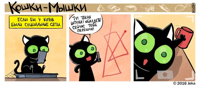 Кошки-Мышки (выпуск 47). #2