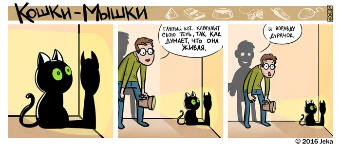 Кошки-Мышки (выпуск 48). #4