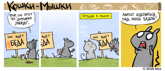 Кошки-Мышки (выпуск 48). #5