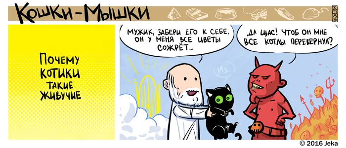 Кошки-Мышки (выпуск 49). #3