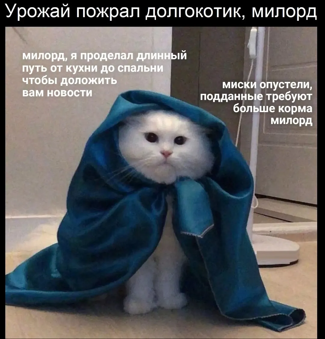 Голод бушует по всей кухне. #1