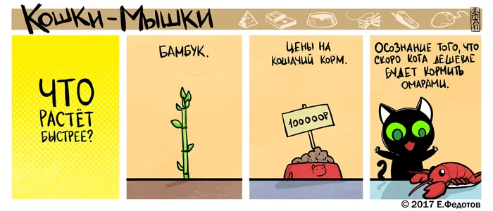 Кошки-Мышки (выпуск 54). #6