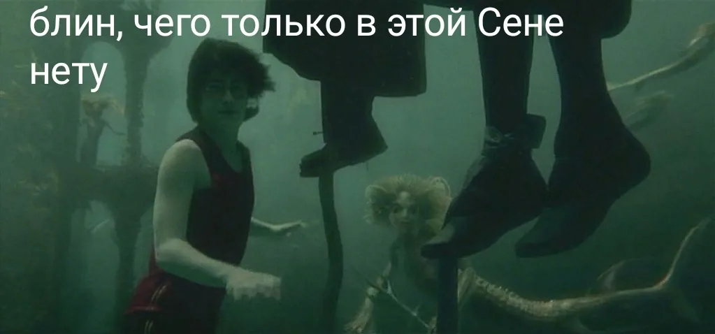 Сена #1