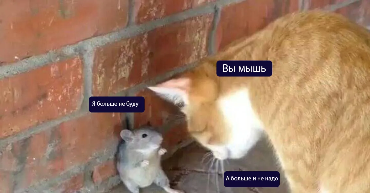 Вот и всё #1