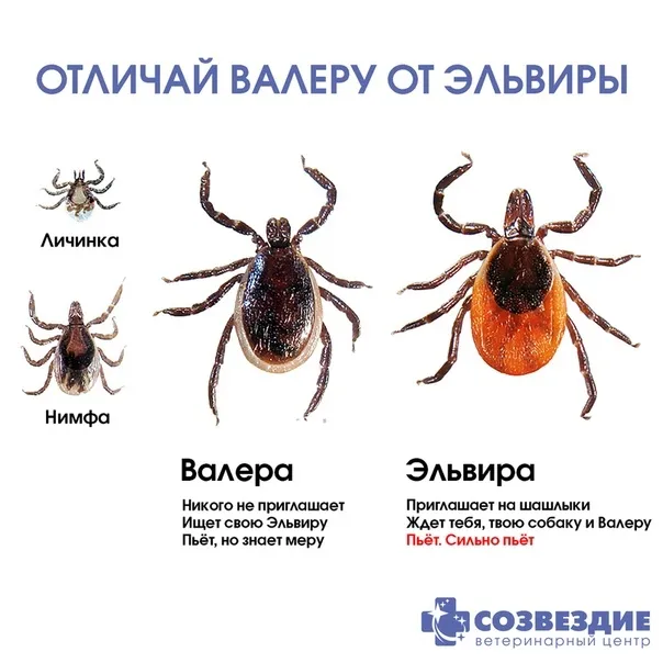 Обычные белорусские марки #2