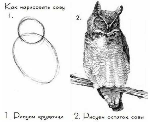Картина #1