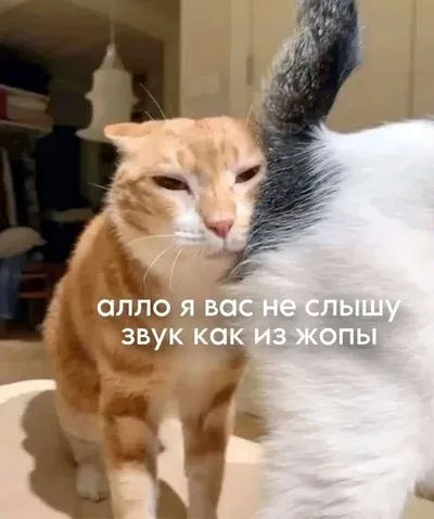 😆 #2