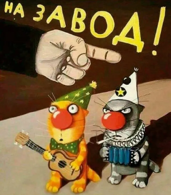 Что мне делать с этим котом 😂 #1