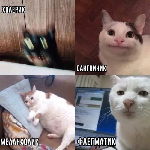 Многоглазик #2