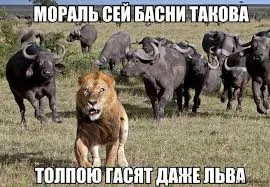 Галя, у нас отмена #1