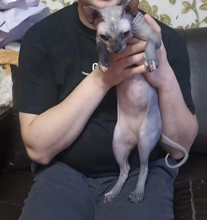 Мисс Морщина #2