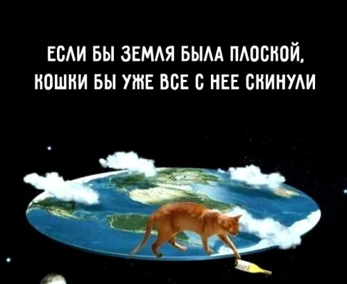 👀🐈👀 #2