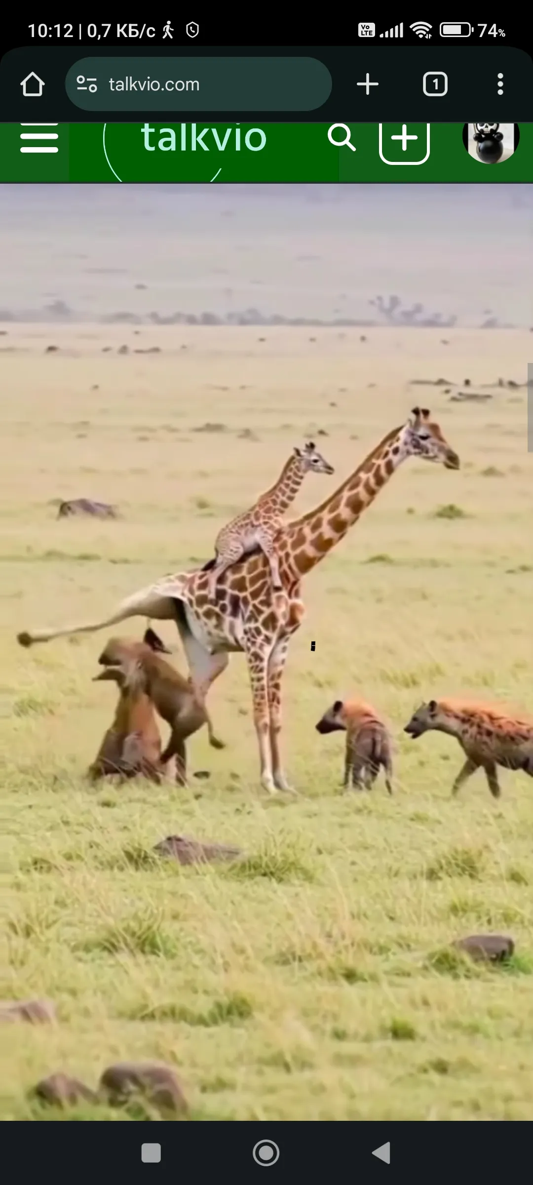 Спасение 🦒🦒 #2