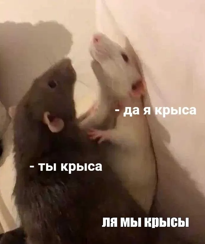 БИСПРЕДЕЛ! #1
