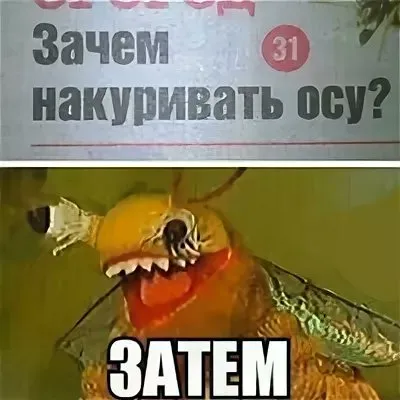 ВСЕ растения ядовиты!!! #1