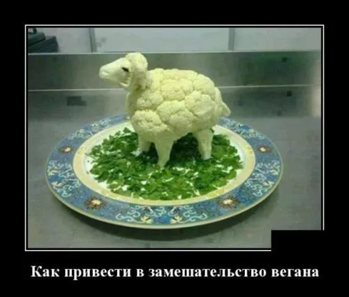 Уже ужинали?😏 #1