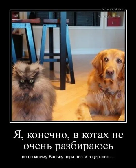 😉👍🐾 #1