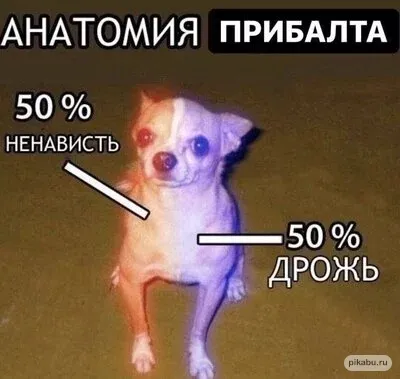 Польша призывает своих граждан покинуть Белоруссию немедленно #1
