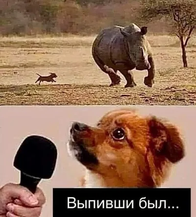 Маленький, но дерзкий #1
