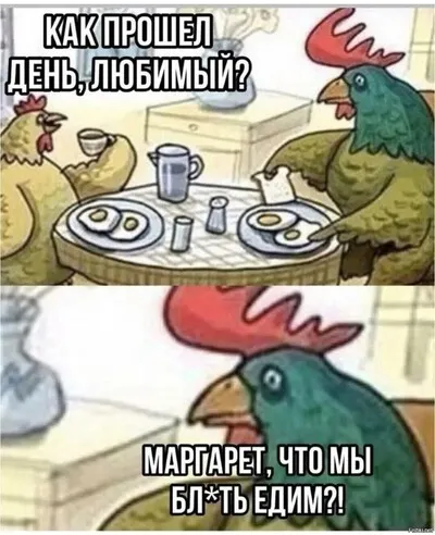С Добрым Утром🐾🌞 #1