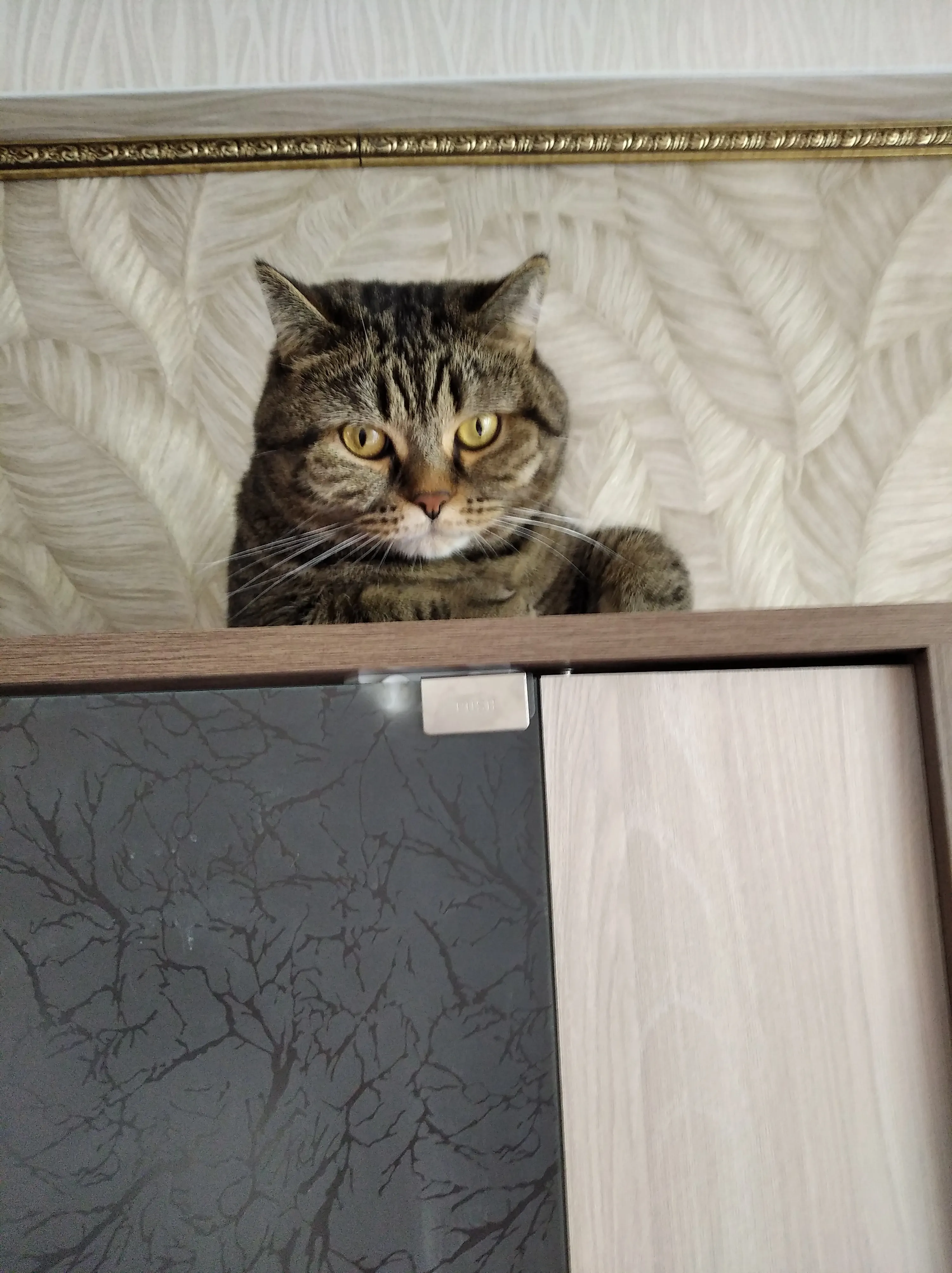 Лежу где хочу и отстаньте от меня!