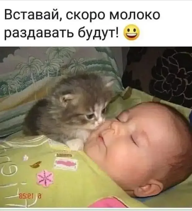 Альтруистические Отношения #2