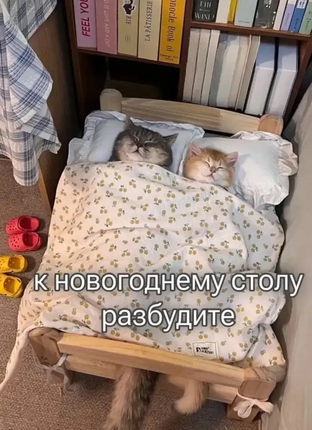 Семейная идилия #2