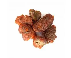 Лаковый червец (Kerria lacca) 