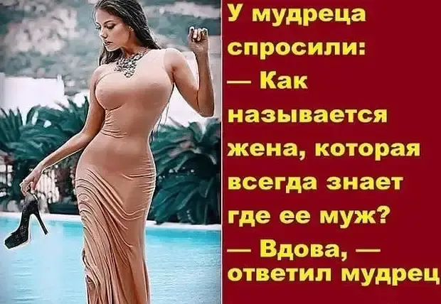 Мудрость с юмором! #1