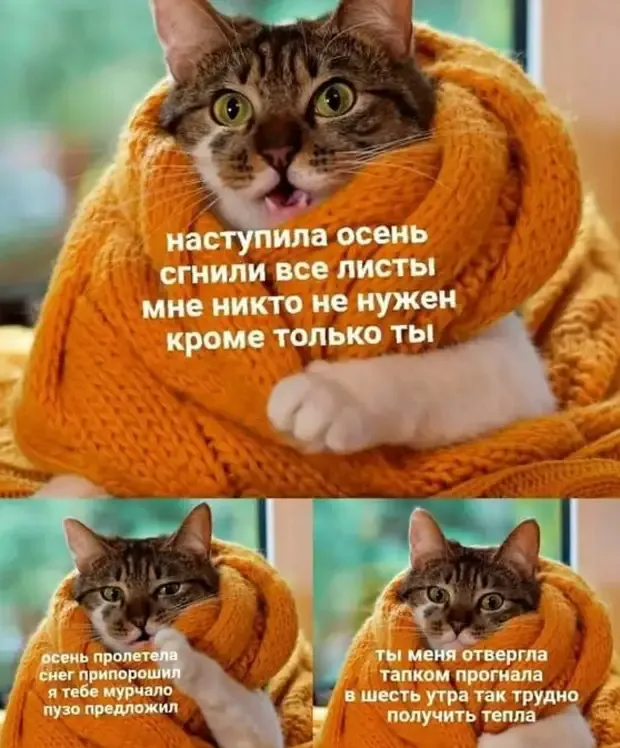 Страдания кота в 5 часов утра! #2