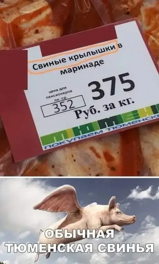 У свиней в Тюмени вдруг выросли крылья!!! #1