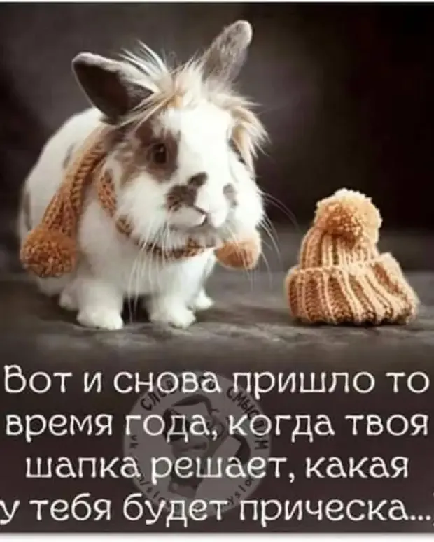 Опять зима и даже прически надо подстраивать под погоду #1