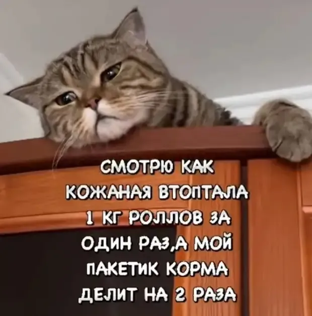 Несправедливость! #2