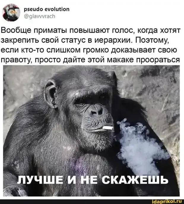 Совет житейский! #1