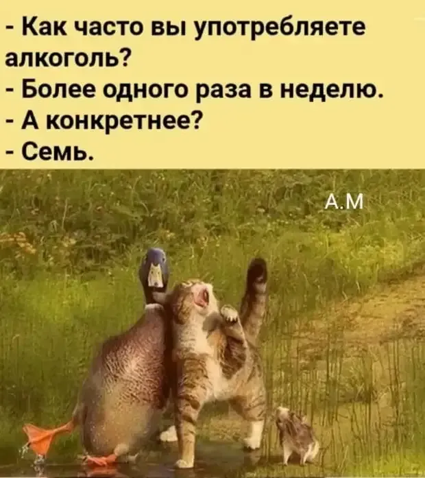 Об употреблении алкоголя и  его последствиях #2