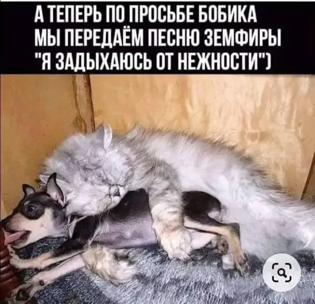 Любовь не знает границ #2